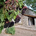 Ecovillage - *