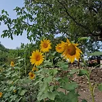 Ecovillage - Zhulat