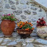 Πανσιόν Ecovillage - *