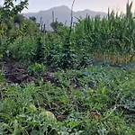 Ecovillage - *