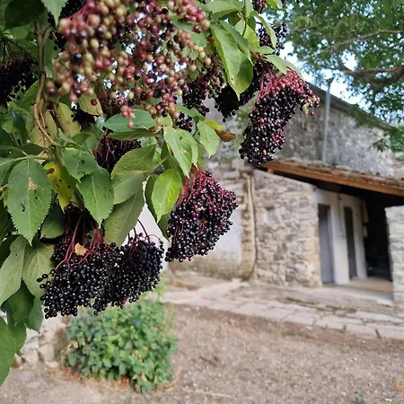 Ecovillage - Guest house *
