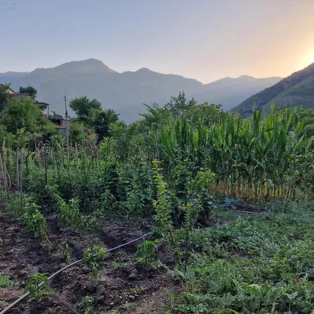 Πανσιόν Ecovillage - *