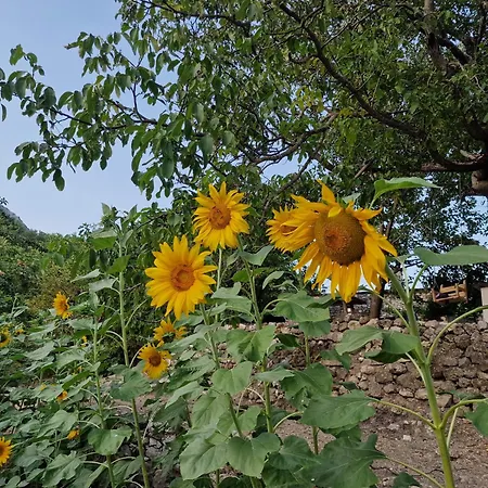 Ecovillage - Zhulat