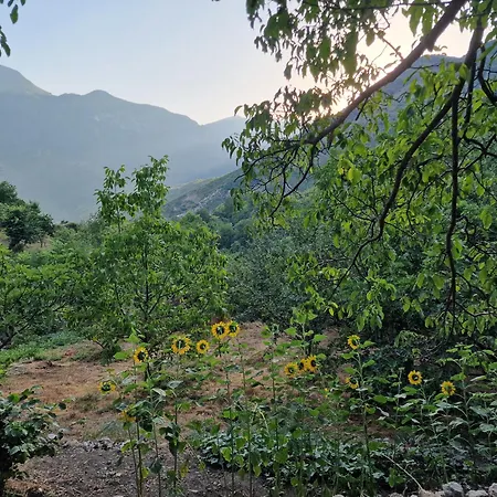 Ecovillage - * Zhulat